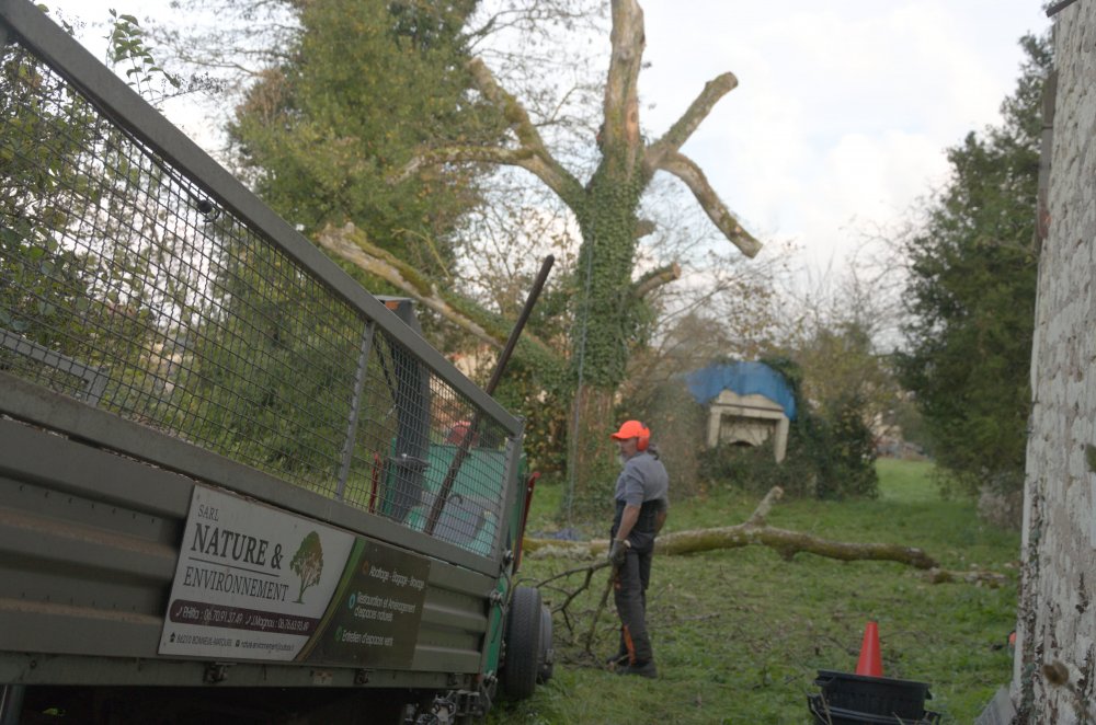 abattage arbre Châtellerault