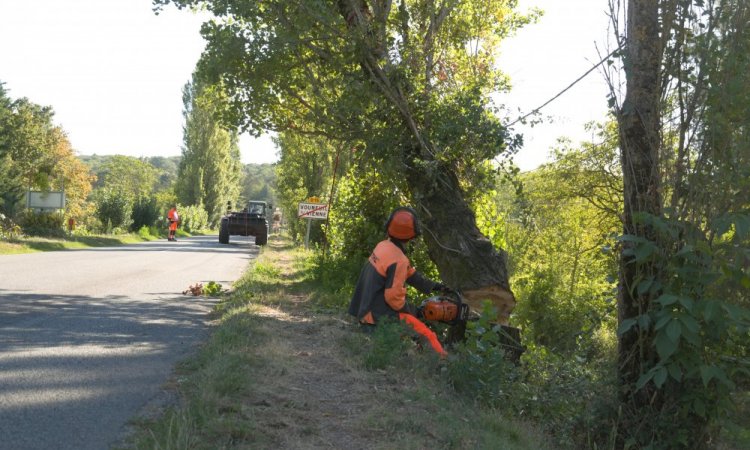 Abattage d'arbres Vouneuil sur Vienne