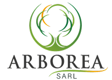 Arborea