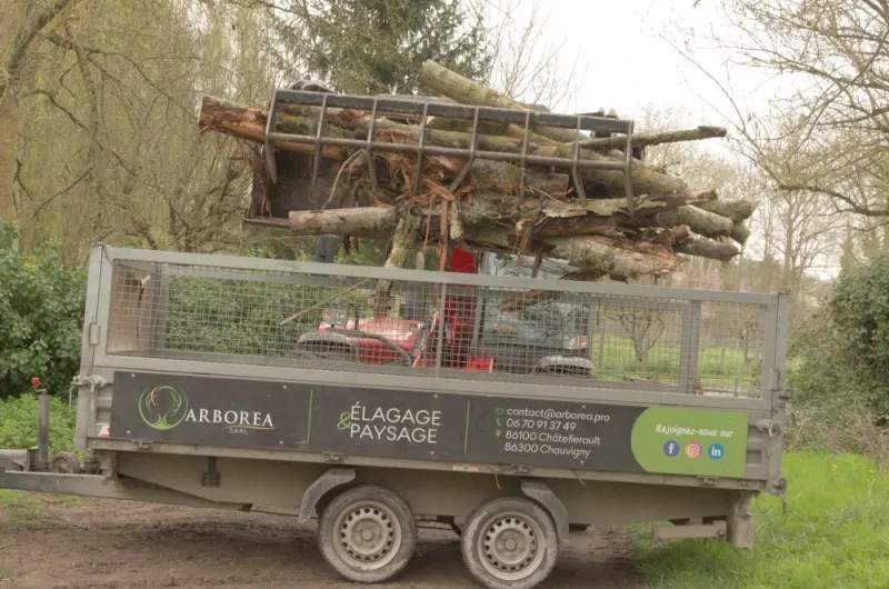 URGENCE à Jaunay-Marigny, Châtellerault, Arborea
