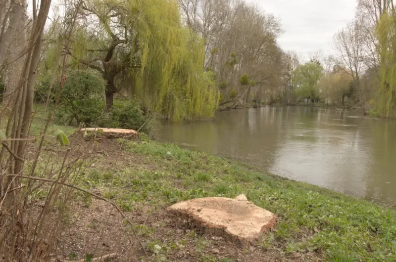 URGENCE à Jaunay-Marigny, Châtellerault, Arborea