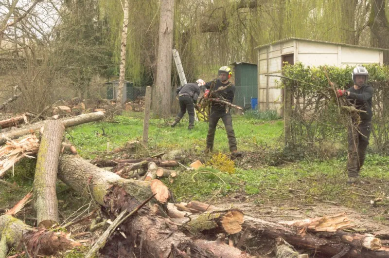 URGENCE à Jaunay-Marigny, Châtellerault, Arborea