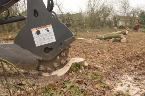 Rognage de souche, Châtellerault, Arborea