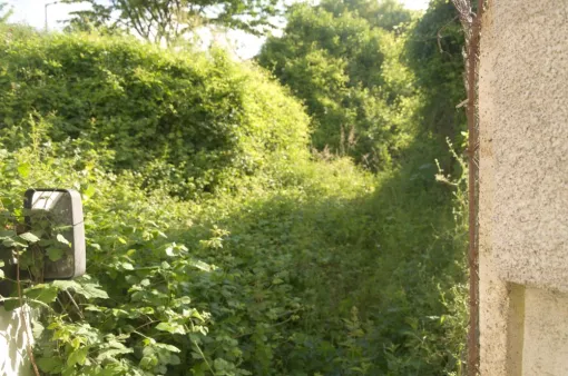 Défrichage de terrain à Senillé , Châtellerault, Arborea