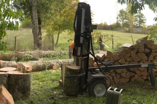 Fendage de bois, Châtellerault, Arborea