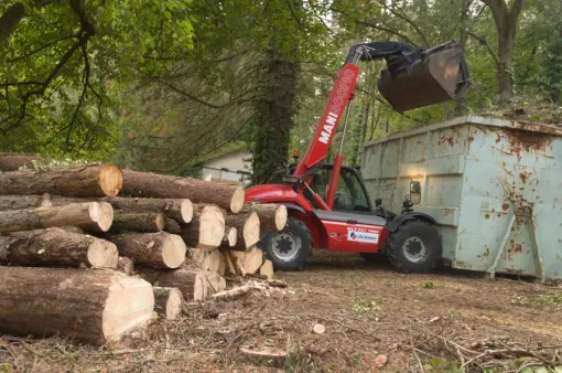 Abattage de pins sylvestre morts sur pied en sud Vienne, Châtellerault, Arborea