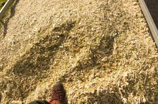 Valorisation de BRF, Châtellerault, Arborea