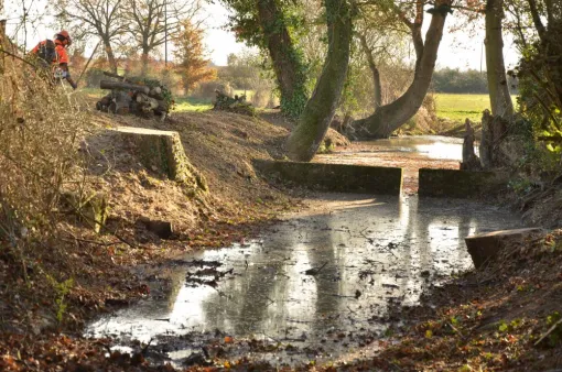 Notre activité face au Covid - 19, Châtellerault, Arborea