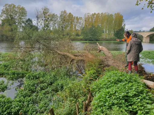 Devis gratuit pour installation et entretien d'espaces naturels à Châtellerault, Châtellerault, Arborea