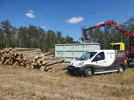 Devis gratuit pour entreprise d'évacuation de dechets verts à Châtellerault, Châtellerault, Arborea