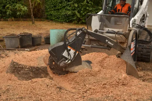 Réalisation d'un rognage de la souche à Châtellerault, Châtellerault, Arborea