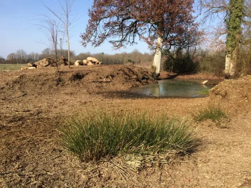 Restauration d'espaces naturels à Châtellerault, Châtellerault, Arborea