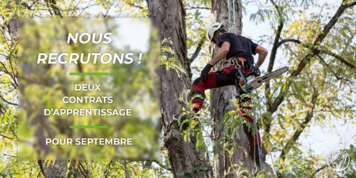 RECRUTEMENT APPRENTIS , Châtellerault, Arborea