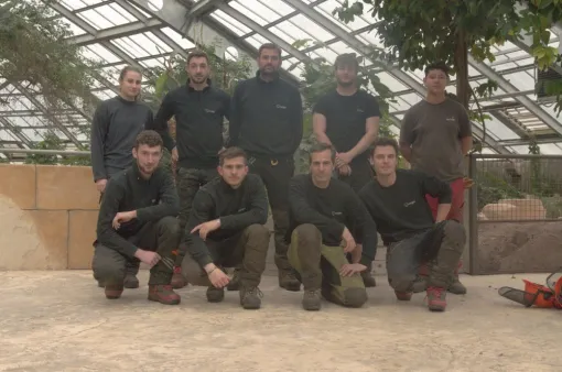 Bonne et heureuse année à tous! , Châtellerault, Arborea