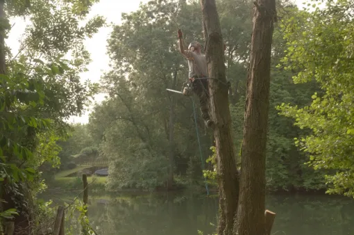 Chantier rivière à Poitiers, Châtellerault, Arborea