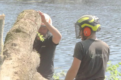 Chantier rivière, Châtellerault, Arborea