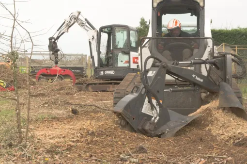 Travaux de rognage de souche proche de Poitiers, Châtellerault, Arborea