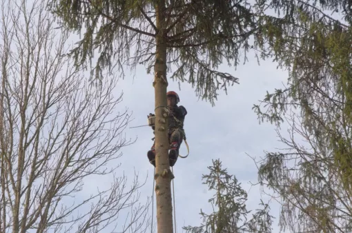 ELAGAGE, Châtellerault, Arborea