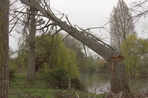 URGENCE à Jaunay-Marigny, Châtellerault, Arborea
