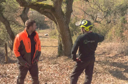 Travaux de restauration de pelouses sèches à CIVAUX, Châtellerault, Arborea