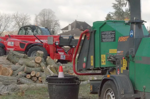 Abattage d'un grand peuplier sur la commune de Oyré, Châtellerault, Arborea