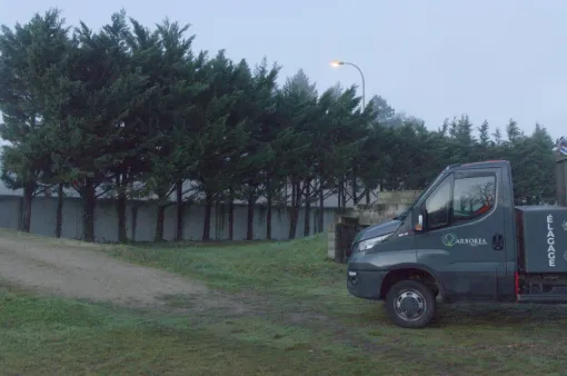 Calibrage d'une haie sur la commune de Chauvigny, Châtellerault, Arborea
