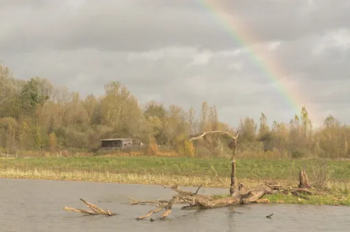 Travaux dans la réserve ornithologique de Saint Cyr, Châtellerault, Arborea