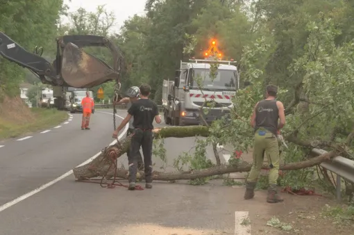 Travaux en cours à Bonneuil-Matours!!, Châtellerault, Arborea