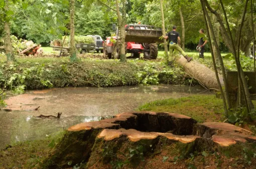 Chantier rivière en Vienne, Châtellerault, Arborea
