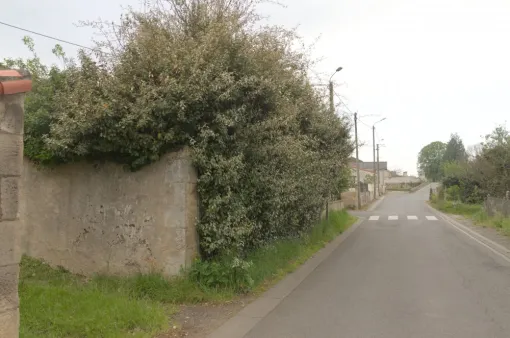 Taille d'une haie d'eleagnus, Châtellerault, Arborea
