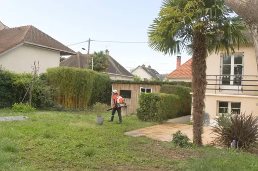 Taille d'entretien au cœur de la ville de Châtellerault, Châtellerault, Arborea