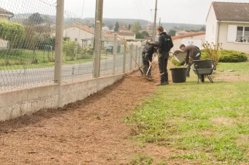 Rognage de 185 souches de Thuyas à Châtellerault, Châtellerault, Arborea