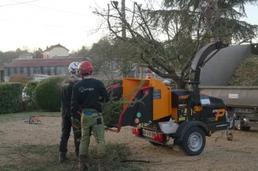 Abattage par démontage de deux cèdres à Chauvigny, Châtellerault, Arborea