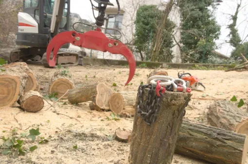 Abattage d'acacia à Poitiers, Châtellerault, Arborea