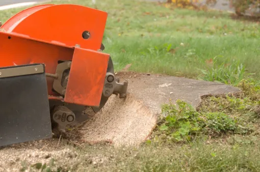 Rognage de souche pour la mairie de Civaux, Châtellerault, Arborea