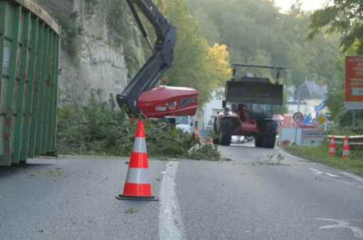 Elagage de sécurité sur la D749 , Châtellerault, Arborea