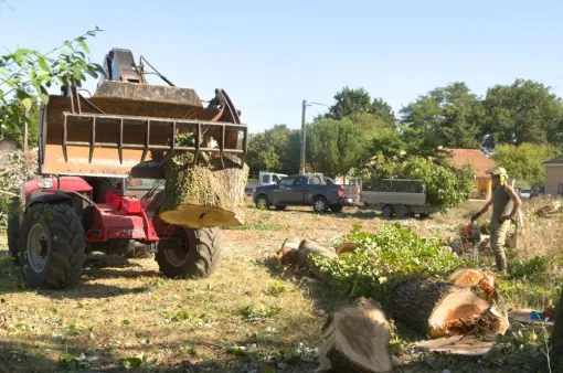 Abattage d'arbre à Poitiers, Châtellerault, Arborea