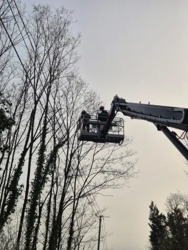 CHANTIER EOLIEN, Châtellerault, Arborea