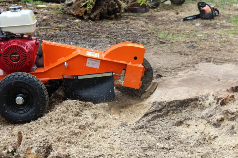 Dessouchage de souche, Châtellerault, Arborea