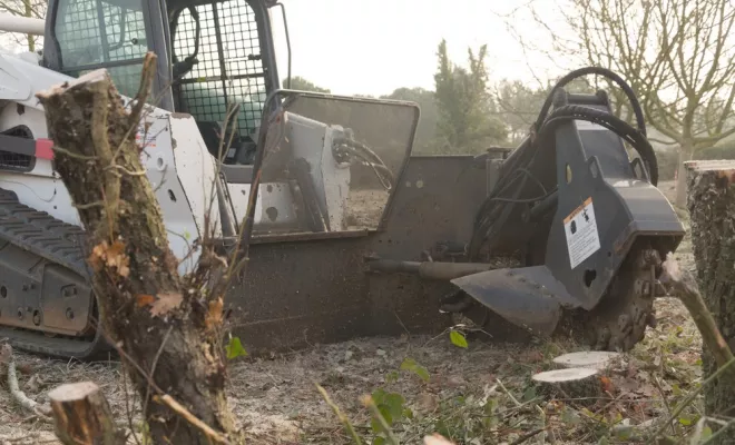 Dessouchage de souche, Châtellerault, Arborea