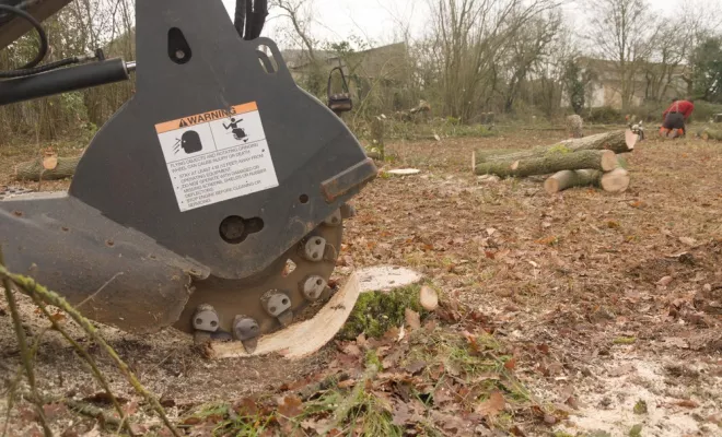 Dessouchage de souche, Châtellerault, Arborea