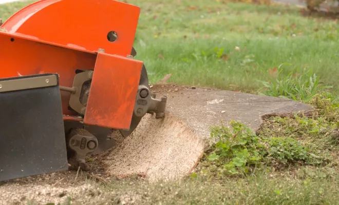 Dessouchage de souche, Châtellerault, Arborea