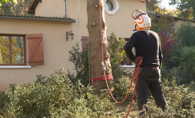 Elagage délicat, Châtellerault, Arborea