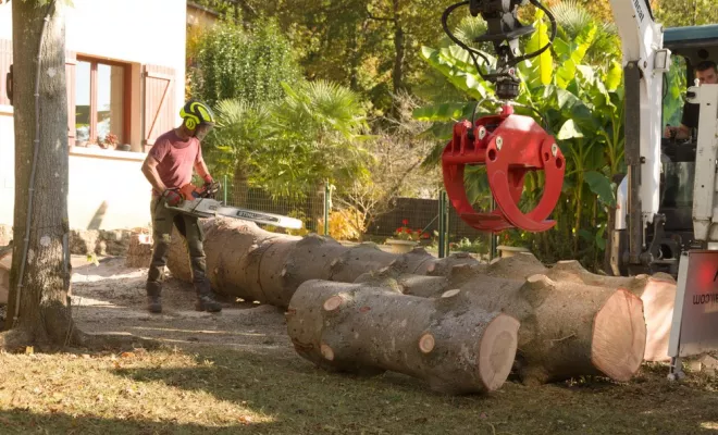 Elagage délicat, Châtellerault, Arborea