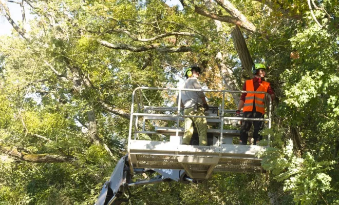 Elagage en nacelle, Châtellerault, Arborea