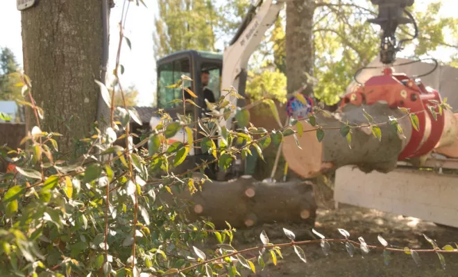 Mini-pelle / grappin forestier : Un allier de poid!, Châtellerault, Arborea