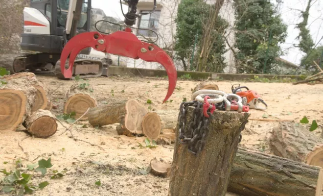 Mini-pelle / grappin forestier : Un allier de poid!, Châtellerault, Arborea