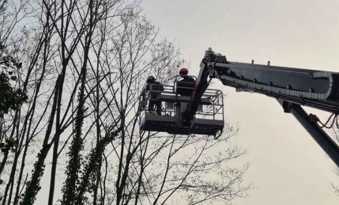 Elagage Châtellerault Arboréa