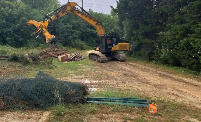 Abattage de 180 pieds de Cyprès, Châtellerault, Arborea