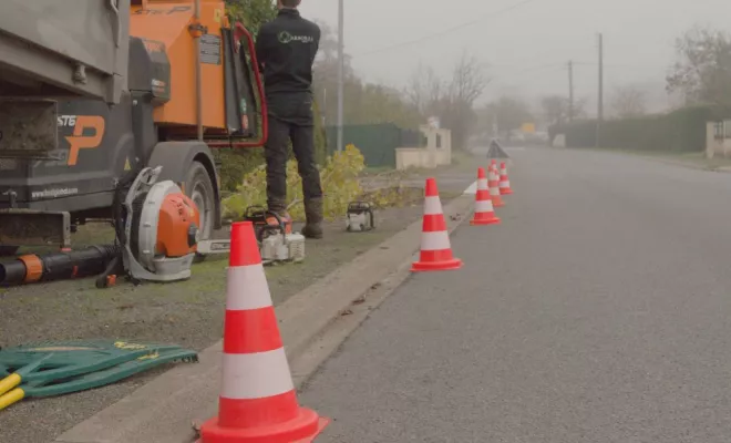 Travaux d'élagage à Bonneuil-Matours, Châtellerault, Arborea